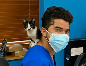 Luis
